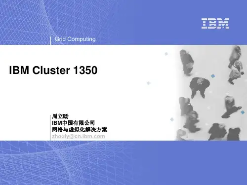 IBM网格计算