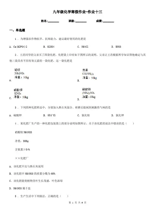 九年级化学寒假作业-作业十三