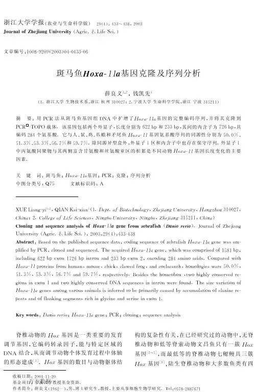 斑马鱼Hoxa-11a基因克隆及序列分析