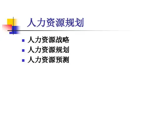 人力资源规划