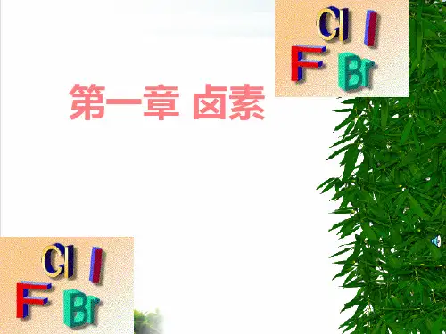 《卤素》ppt课件 人教版