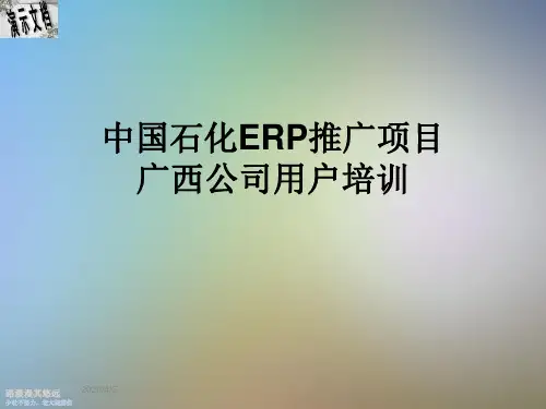 中国石化ERP推广项目广西公司用户培训