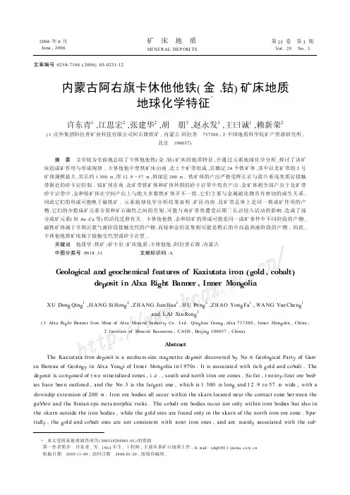内蒙古阿右旗卡休他他铁(金、钴)矿床地质地球化学特征