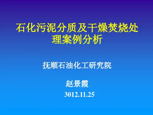 炼油污泥处理案例分析