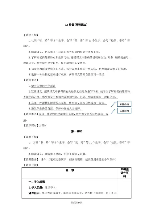 17.松鼠(教案)