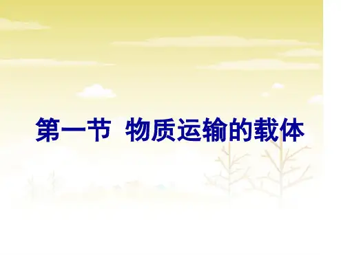 七年级下册生物课件 331物质运输的载体课件济南版