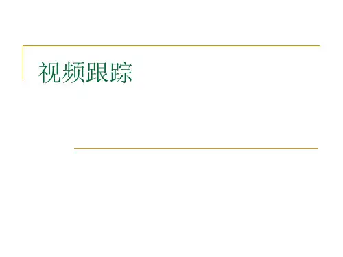 11视频跟踪解析