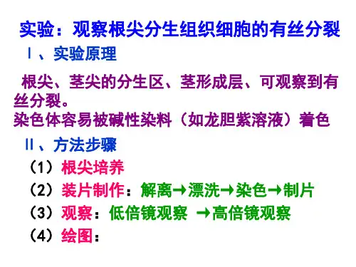 1、观察根尖分生组织细胞的有丝分裂.ppt