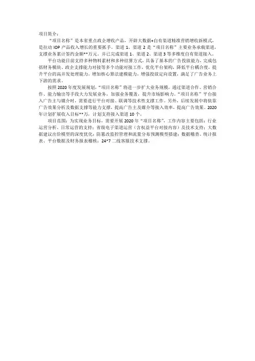 项目简介500字范文