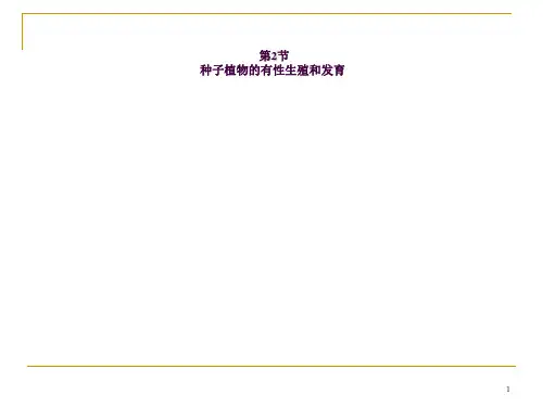 种子植物的有性生殖和发育ppt课件
