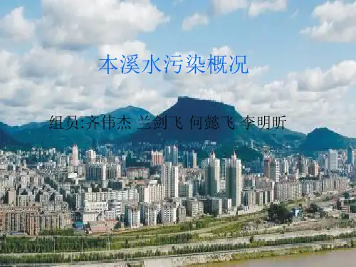 本溪水污染概况