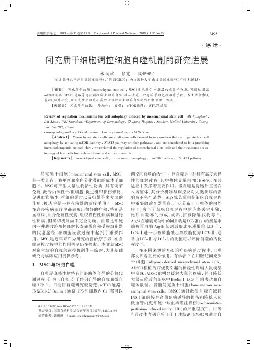 间充质干细胞调控细胞自噬机制的研究进展
