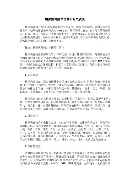 糖尿病肾病中医药治疗之我见