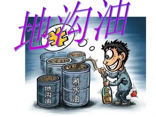 毛概 地沟油