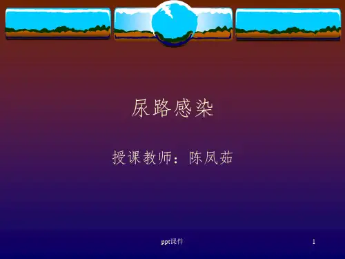 尿路感染鉴别诊断