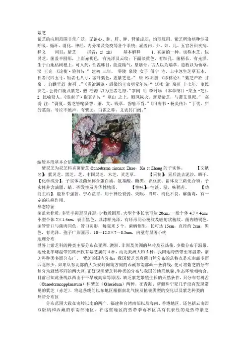 紫芝