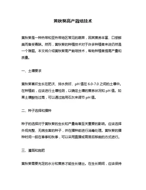 黄秋葵高产栽培技术