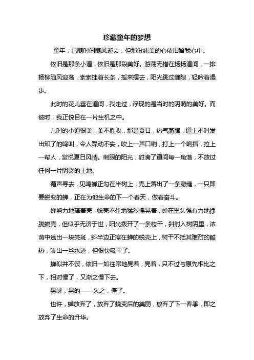 初一作文：珍藏童年的梦想作文600字