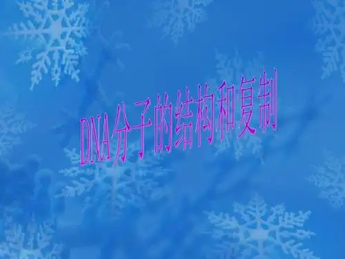 生物：3.3《DNA的复制》课件(3)(新人教版必修2)