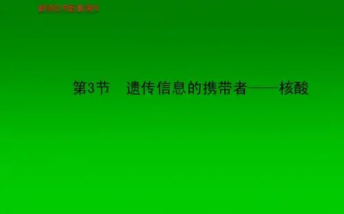2013-2014学年高中生物 第2章  第3节 遗传信息的携带者—核酸课件 新人教版必修1