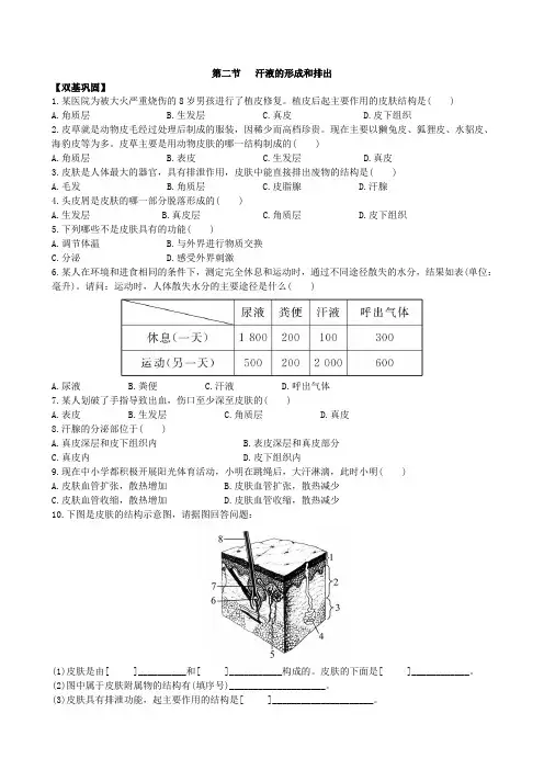 济南版七年级生物下册3.4.2汗液的形成和排出同步练习