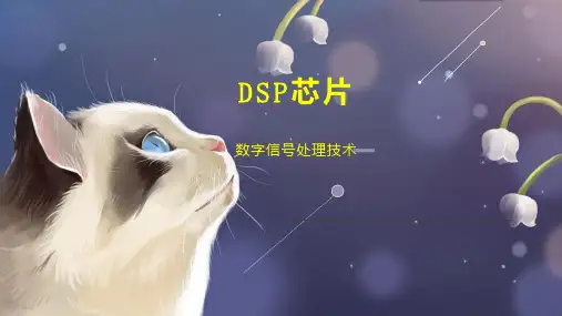 DSP芯片