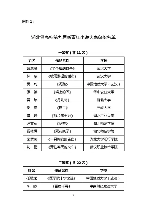 第九届新青年小说大赛获奖名单