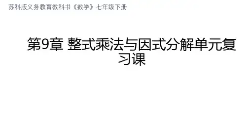 第9章 整式乘法与因式分解-苏科版七年级下册单元复习课件