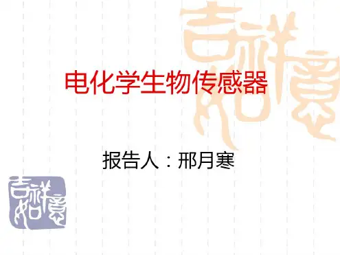 电化学生物传感器