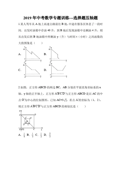 2019年中考数学专题训练---选择题压轴题(无答案)