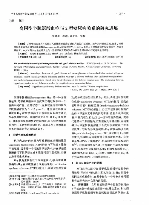高同型半胱氨酸血症与2型糖尿病关系的研究进展