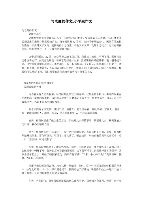 写老鹰的作文_小学生作文