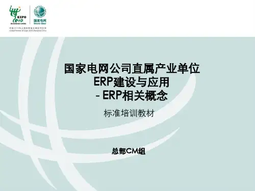 SAP基本概念介绍