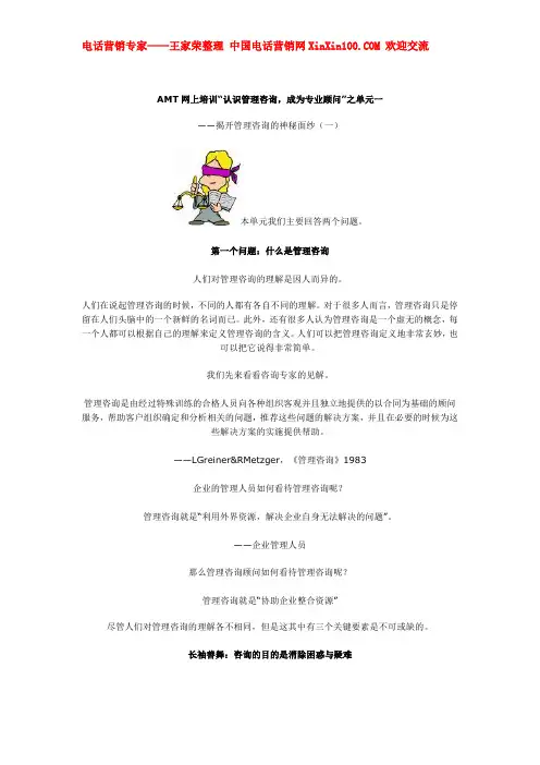AMT管理咨询业顾问资料 -王家荣整理