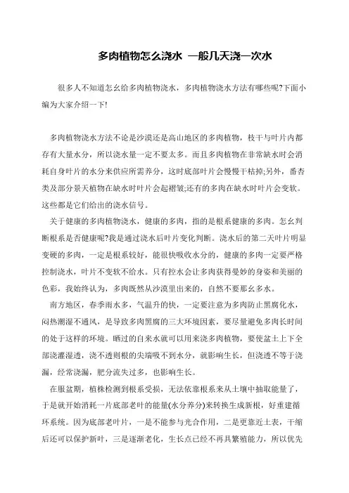 多肉植物怎么浇水 一般几天浇一次水