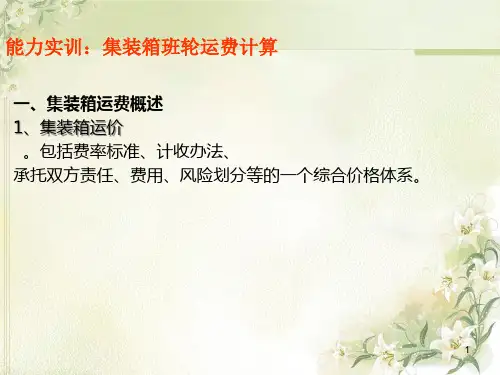 某某公司集装箱班轮运费项目管理知识计算