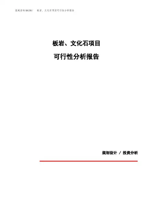 板岩、文化石项目可行性分析报告(模板参考范文)