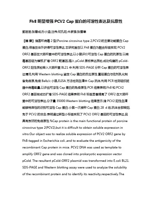 Fh8明显增强PCV2 Cap蛋白的可溶性表达及抗原性