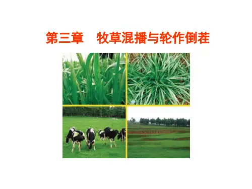 第三章牧草混播与轮作倒茬