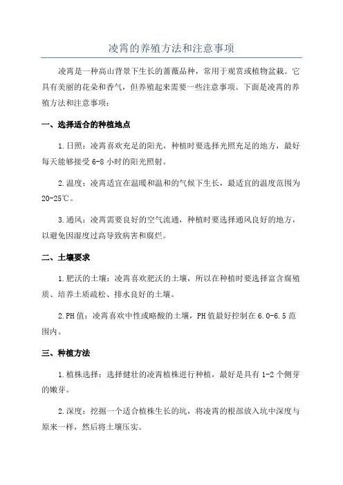 凌霄的养殖方法和注意事项