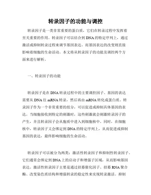 转录因子的功能与调控
