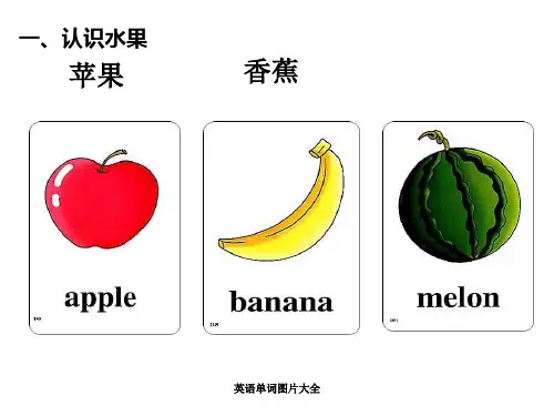 英语单词图片大全