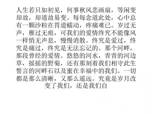 那个河畔,那段爱情.ppt
