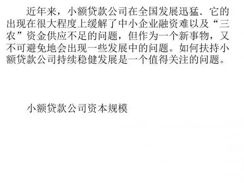 促进小贷公司健康发展