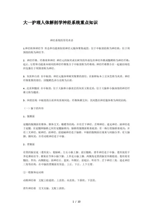 大一护理人体解剖学神经系统重点知识