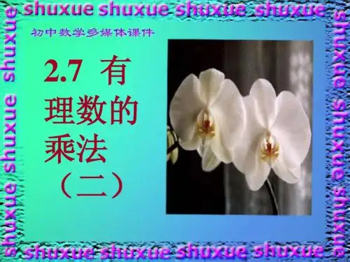 2.7.2有理数的乘法(二)