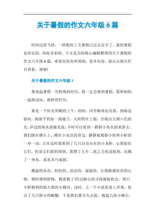 关于暑假的作文六年级6篇