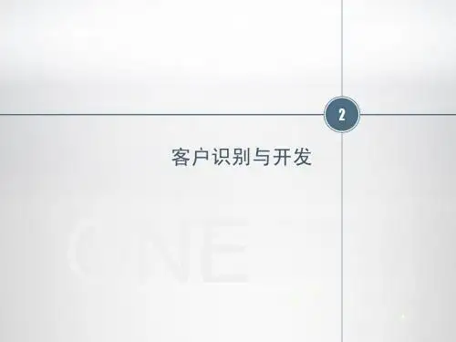 客户识别与开发