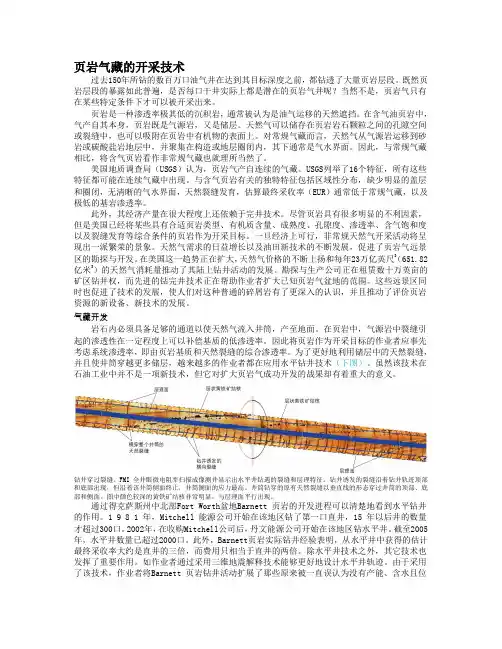 三 页岩气藏的开采