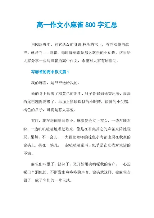 高一作文小麻雀800字汇总